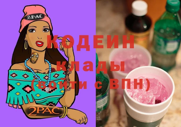индика Алзамай
