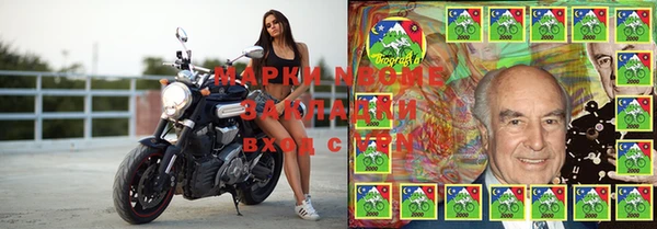 стафф Абинск