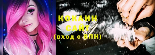стафф Абинск