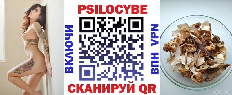 Псилоцибиновые грибы Cubensis  даркнет формула  Ермолино  дарнет шоп 